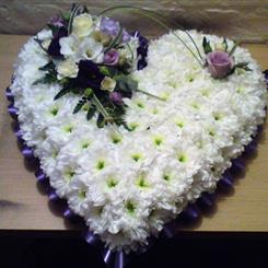 Purple Massed Heart