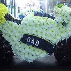 Motor Bike