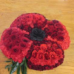 Poppy