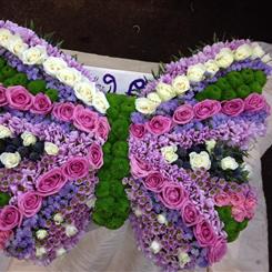 Butterfly 2