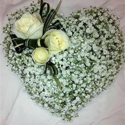 Gyp Heart