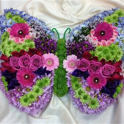 Butterfly 3