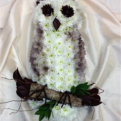 Owl 1