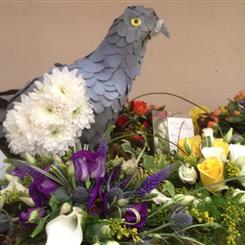 Pigeon in the Garden