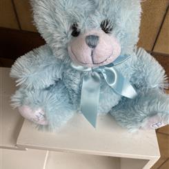 Baby boy teddy